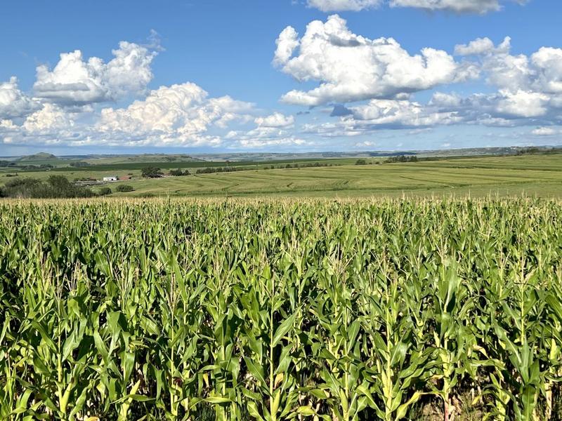 0 Bedroom Property for Sale in Bethlehem Rural Free State